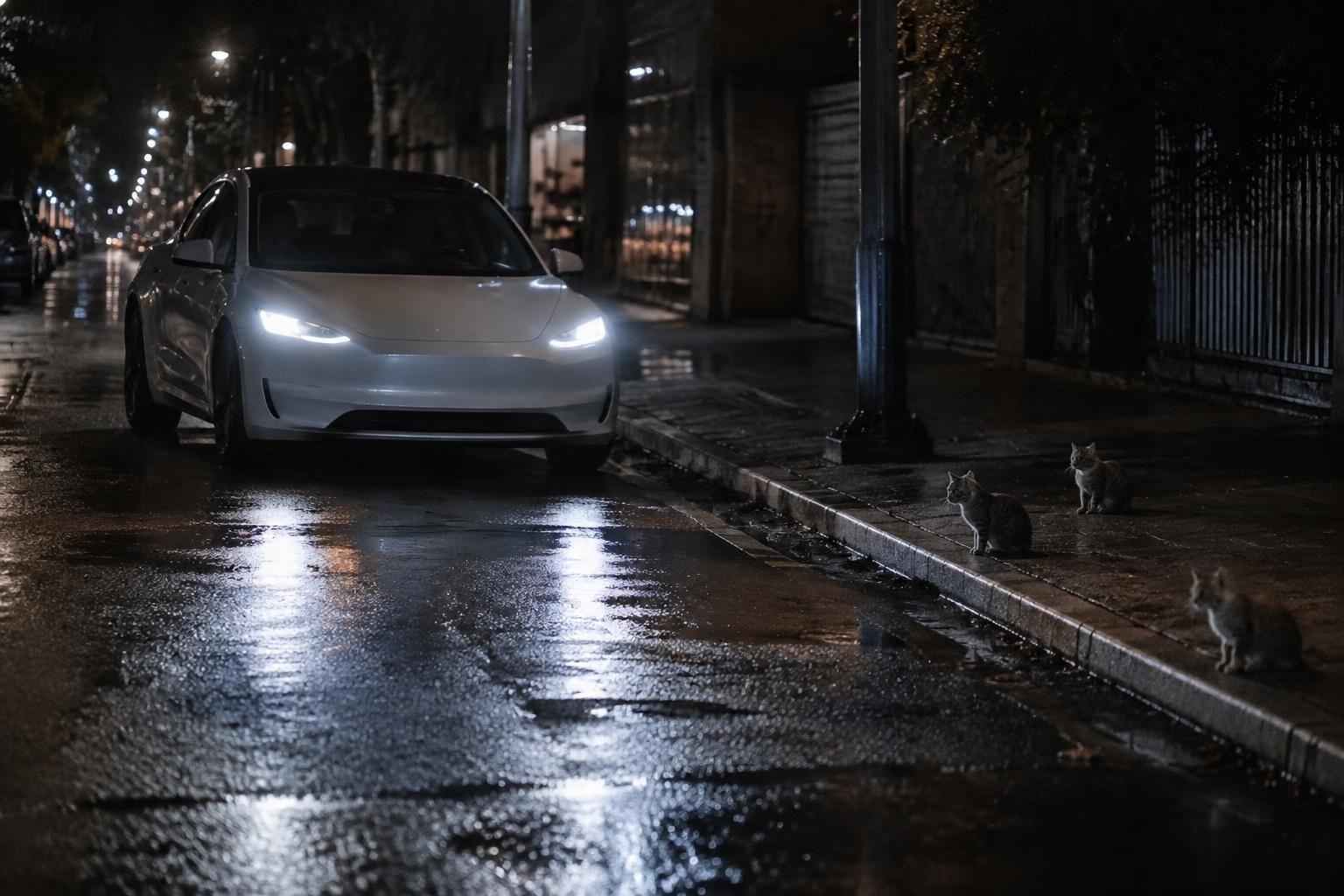 elon musk souligne les difficultés des robotaxis tesla la nuit, comparant la détection d’obstacles à des « chatons gris sur fond gris ».